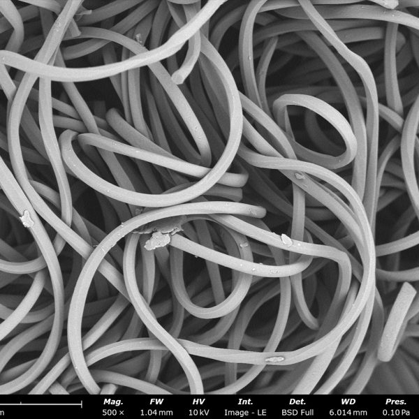 Mask Fibers