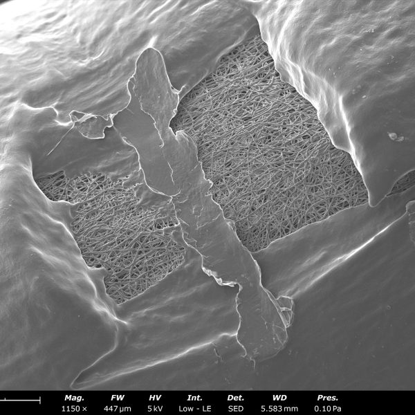 Sintered Fibers